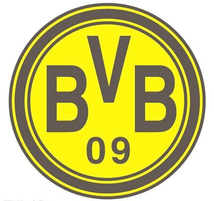 的是一支真 的是一支真